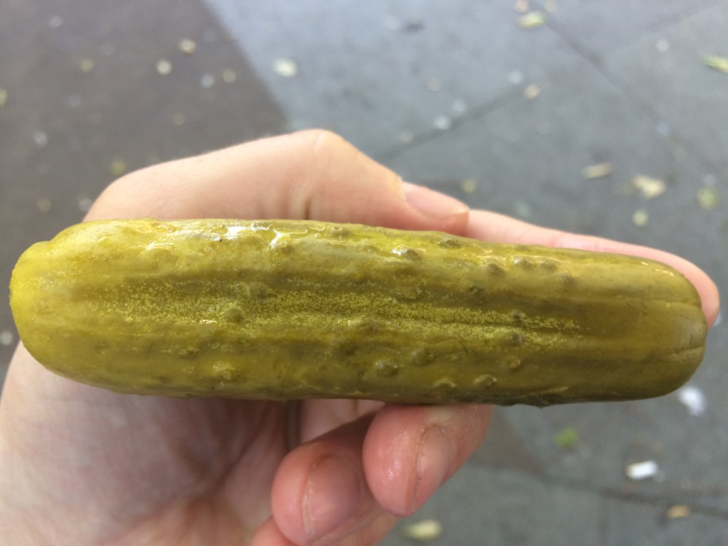 Kosher Dill Pickle from HORMAN'S BEST PICKLES
