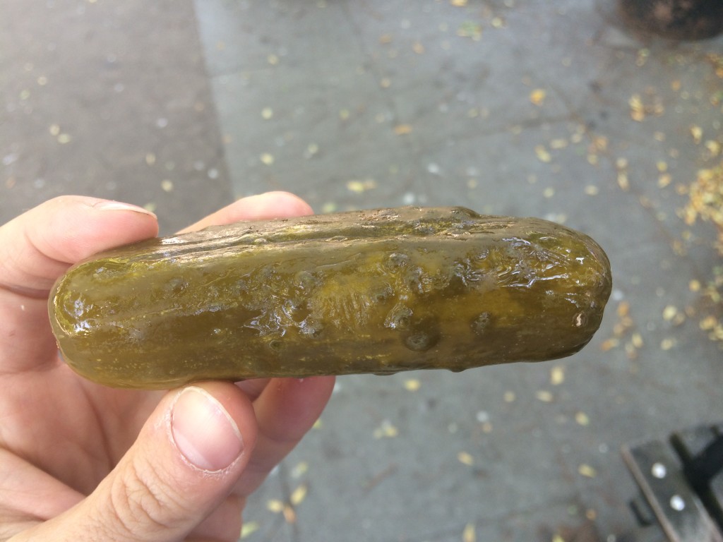 Sour Pickle from HORMAN'S BEST PICKLES