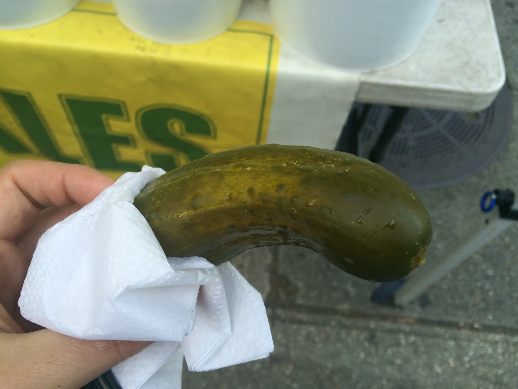 Horseradish Pickle from HORMAN'S BEST PICKLES