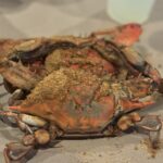 DISH OF THE WEEK in New York: Lunch Special at IBN HAMIDO SEAFOOD